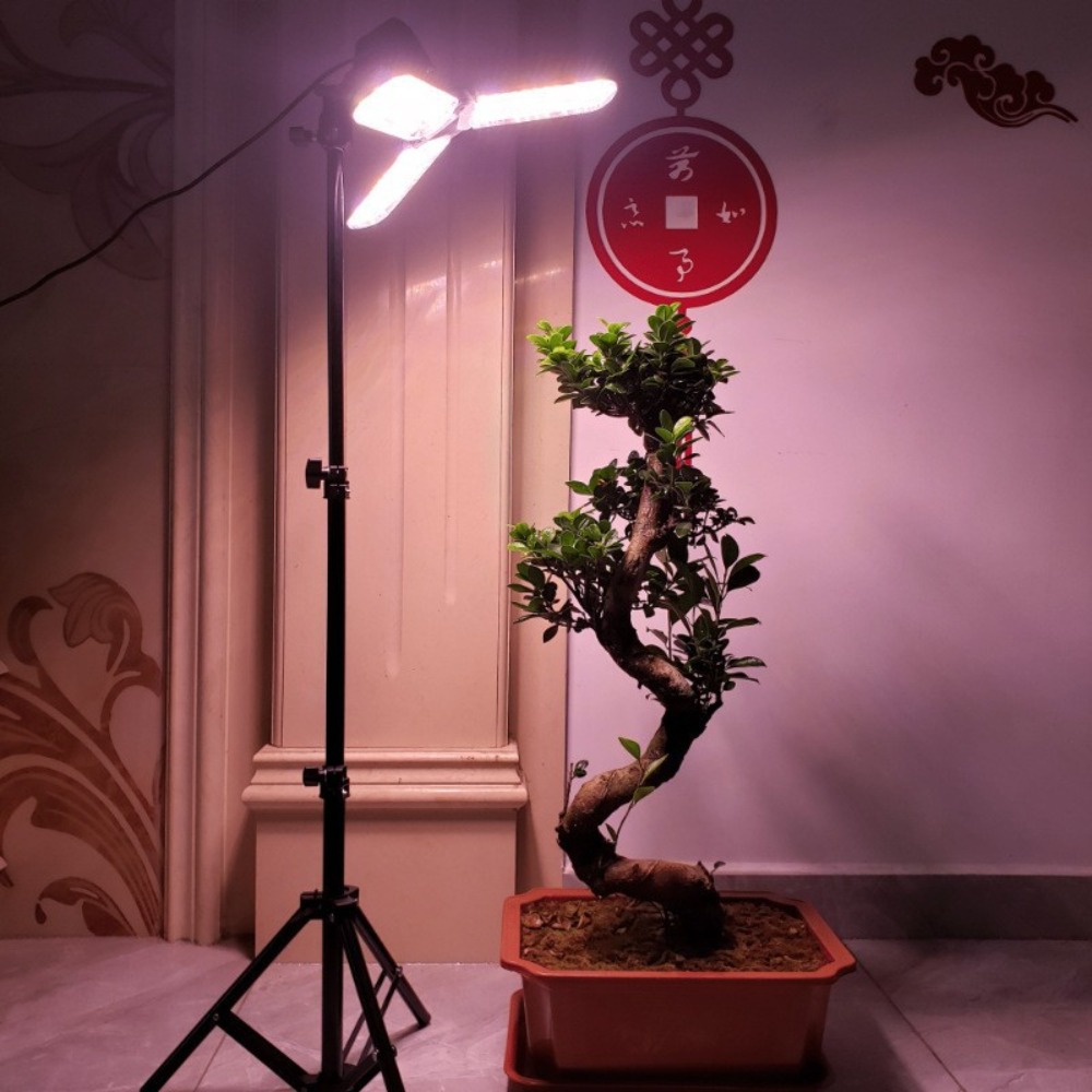 Light Bulb Stand 2M, E27 AC So - Photography Lighting Mount review and price