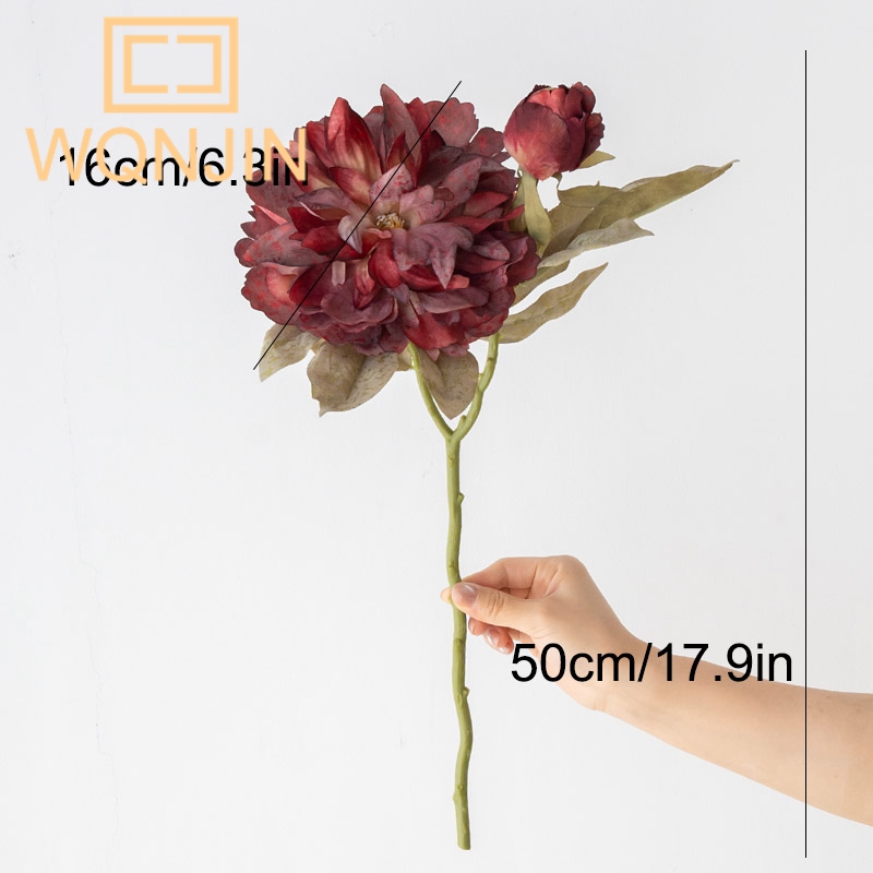 1PC Light Luxury 2 Head Big Pe - Photography Lighting Simulation review and price
