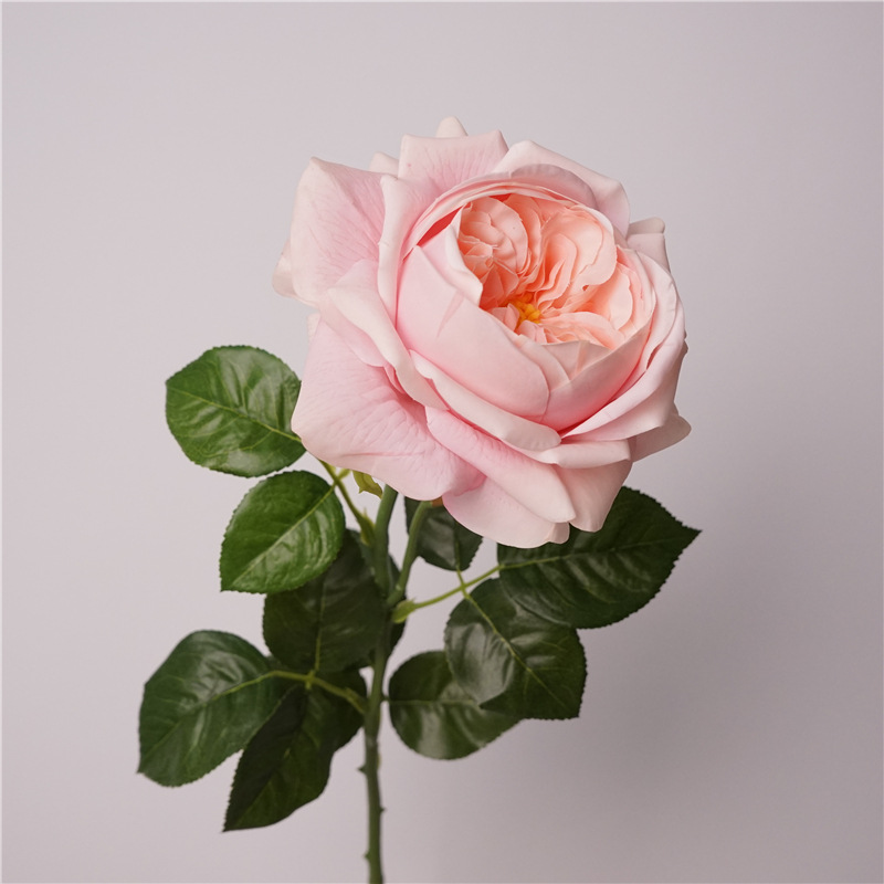 3pcs Moisturizing Rose Simulat - Photography Lighting Simulation review and price