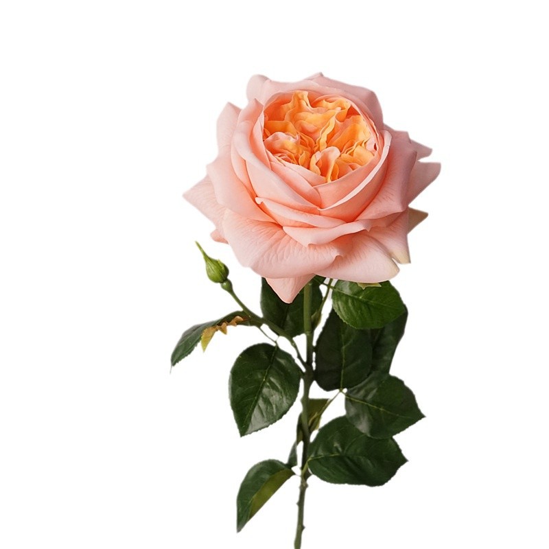 3pcs Moisturizing Rose Simulat - Photography Lighting Simulation review and price