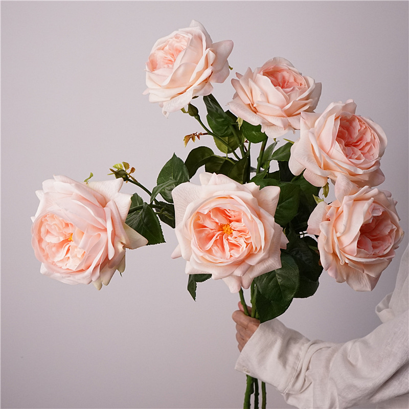 3pcs Moisturizing Rose Simulat - Photography Lighting Simulation review and price