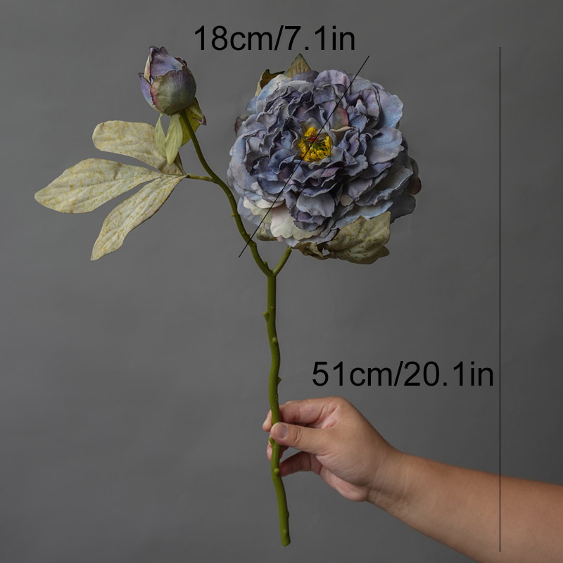 1PC Light Luxury 2 Head Big Pe - Photography Lighting Simulation review and price