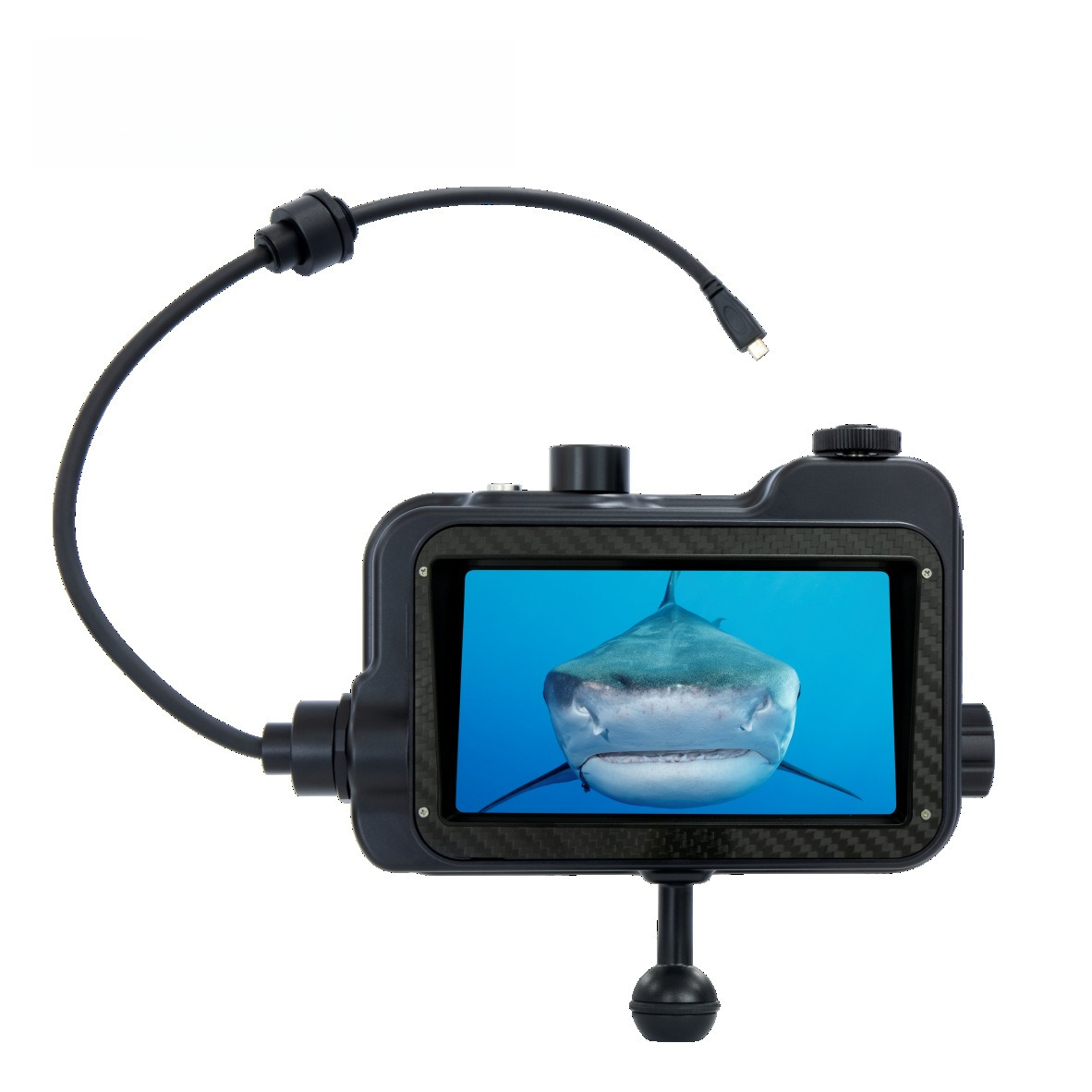 HDR monitor, diving photograph - Photography Lighting Definition review and price